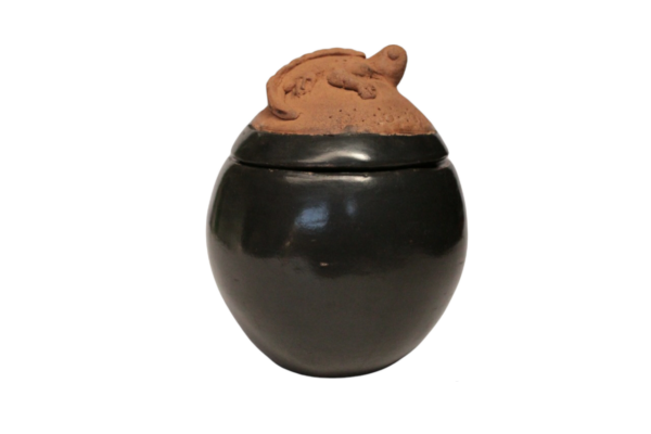 Olla con tapa